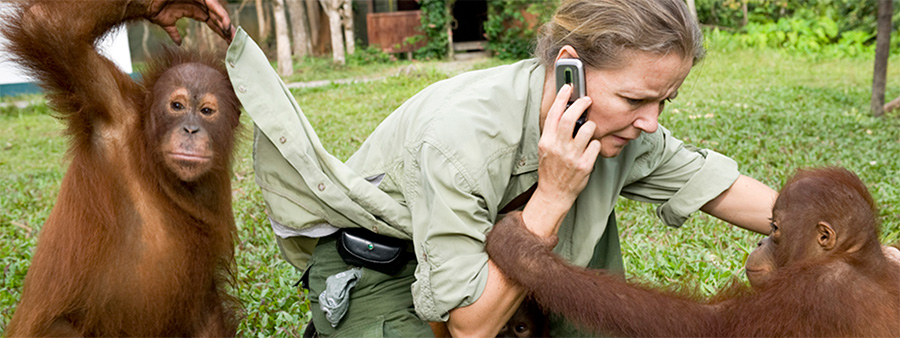 Monkeyglasses støtter RedOrangutangen